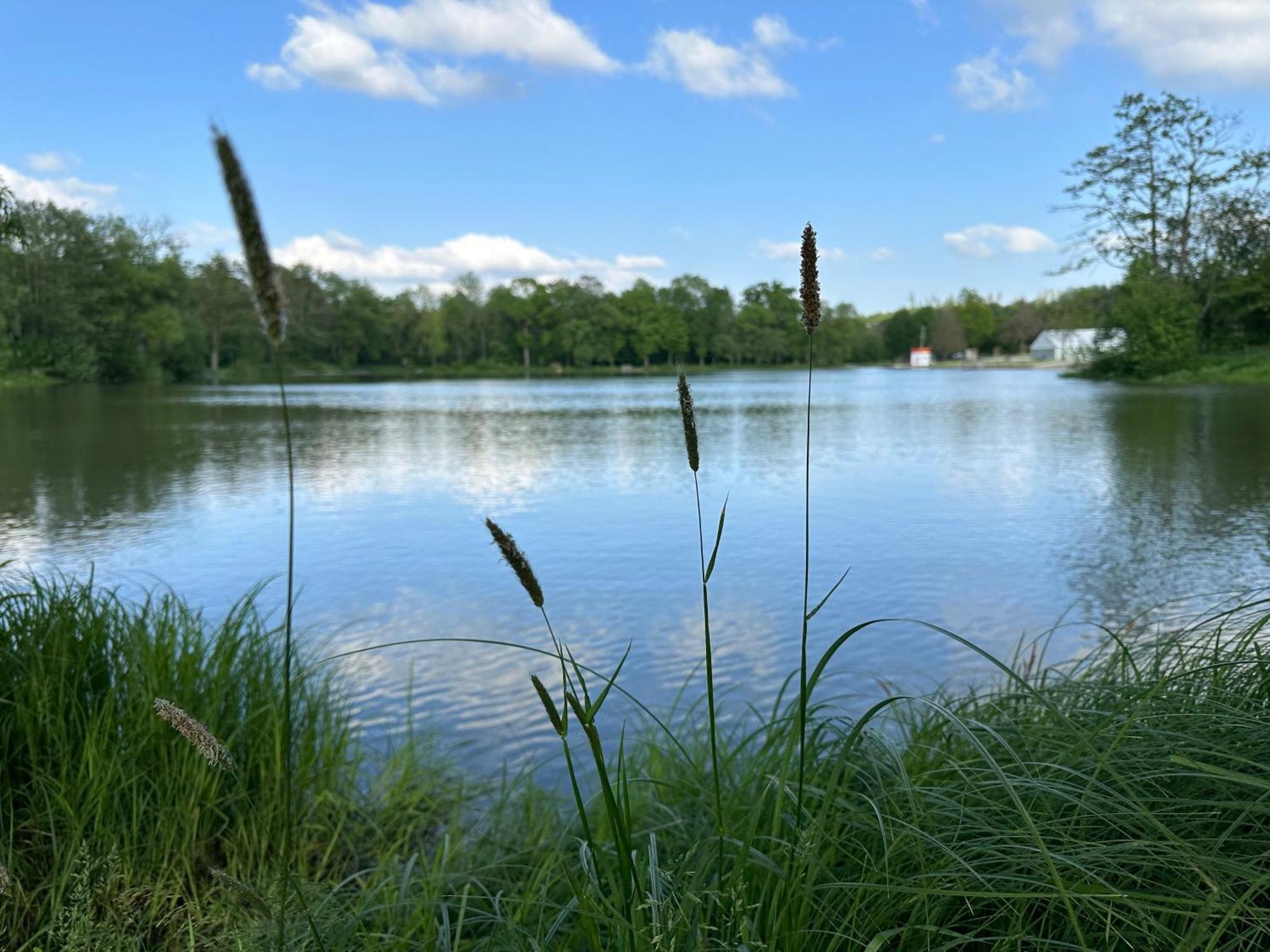 Ferienhaus 400M Vom See Mit Sauna, Kamin, Klima Villa Lichtenberg  Bagian luar foto